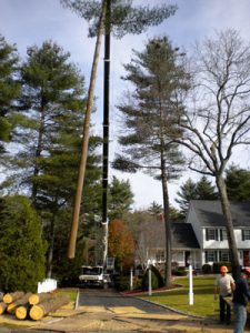 When to Hire a Professional Crane and Bucket Truck Service