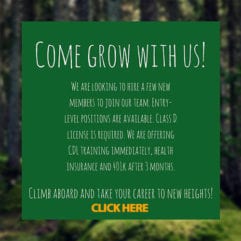 come grow with us apply now 500px