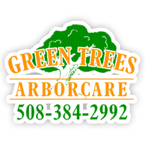 Green Trees Arbor Care Inc Logo 500px x 500px