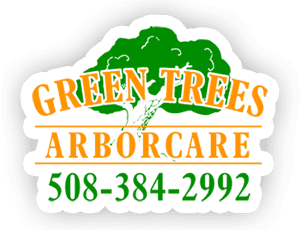 Green Trees Arborcare, Inc.