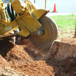 stump grinding